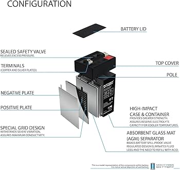 Amazon.com : Mighty Max Battery 4 Volt 4.5 Ah Battery for Zareba 2