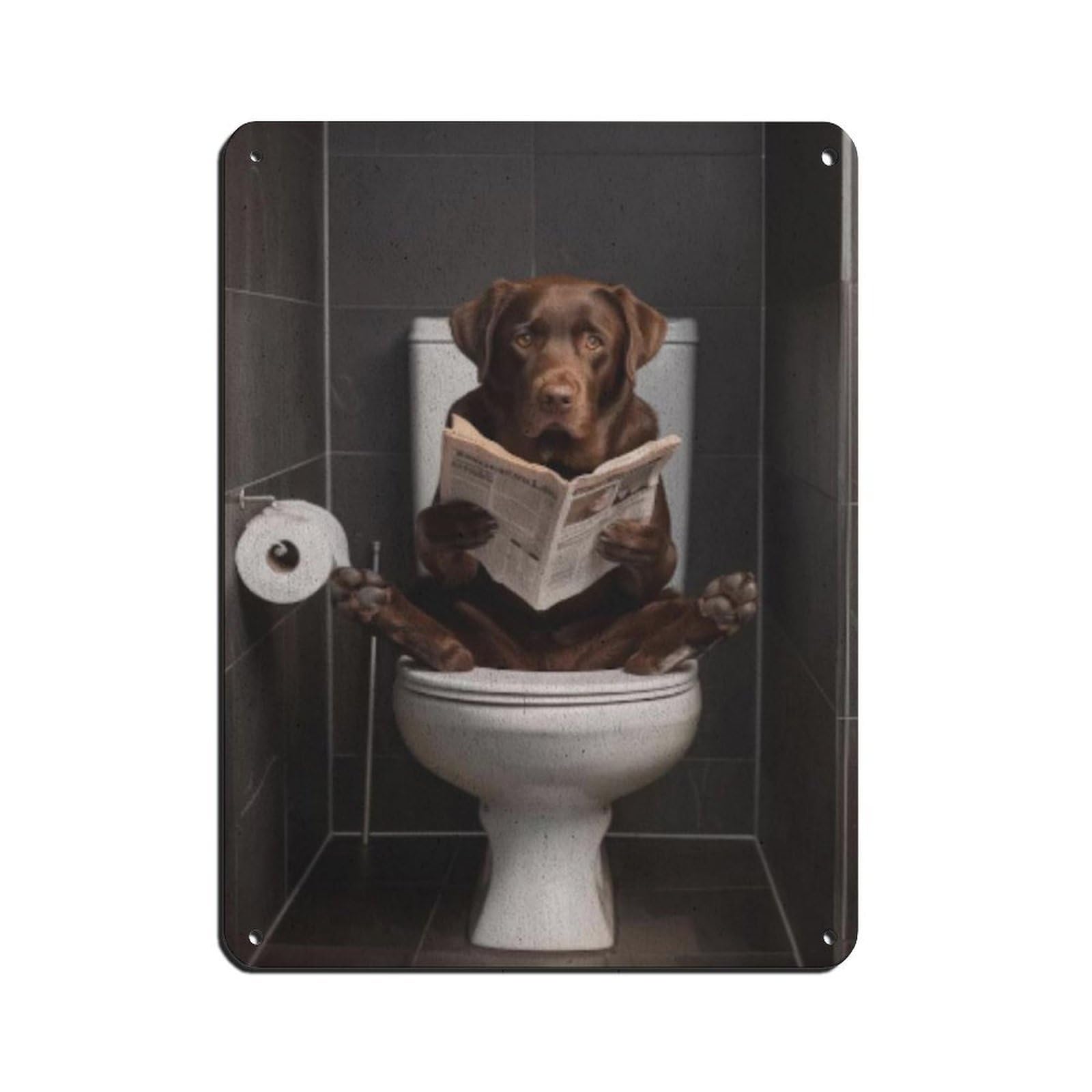 Chocolate Labrador Retriever Bathroom Art Tin Sign Vintage Metal Pub Club Cafe Bar Home Wall Art Decoration Poster Retro 12x16inch(30x40cm)