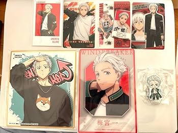 Amazon.co.jp: 梅宮一 WIND BREAKER ウィンドブレーカー : おもちゃ