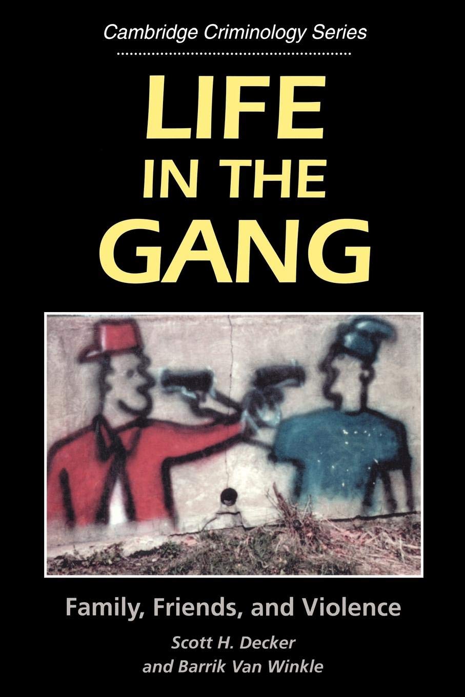 Life in the Gang: Family, Friends, and Violence (Cambridge Studies in Criminology)