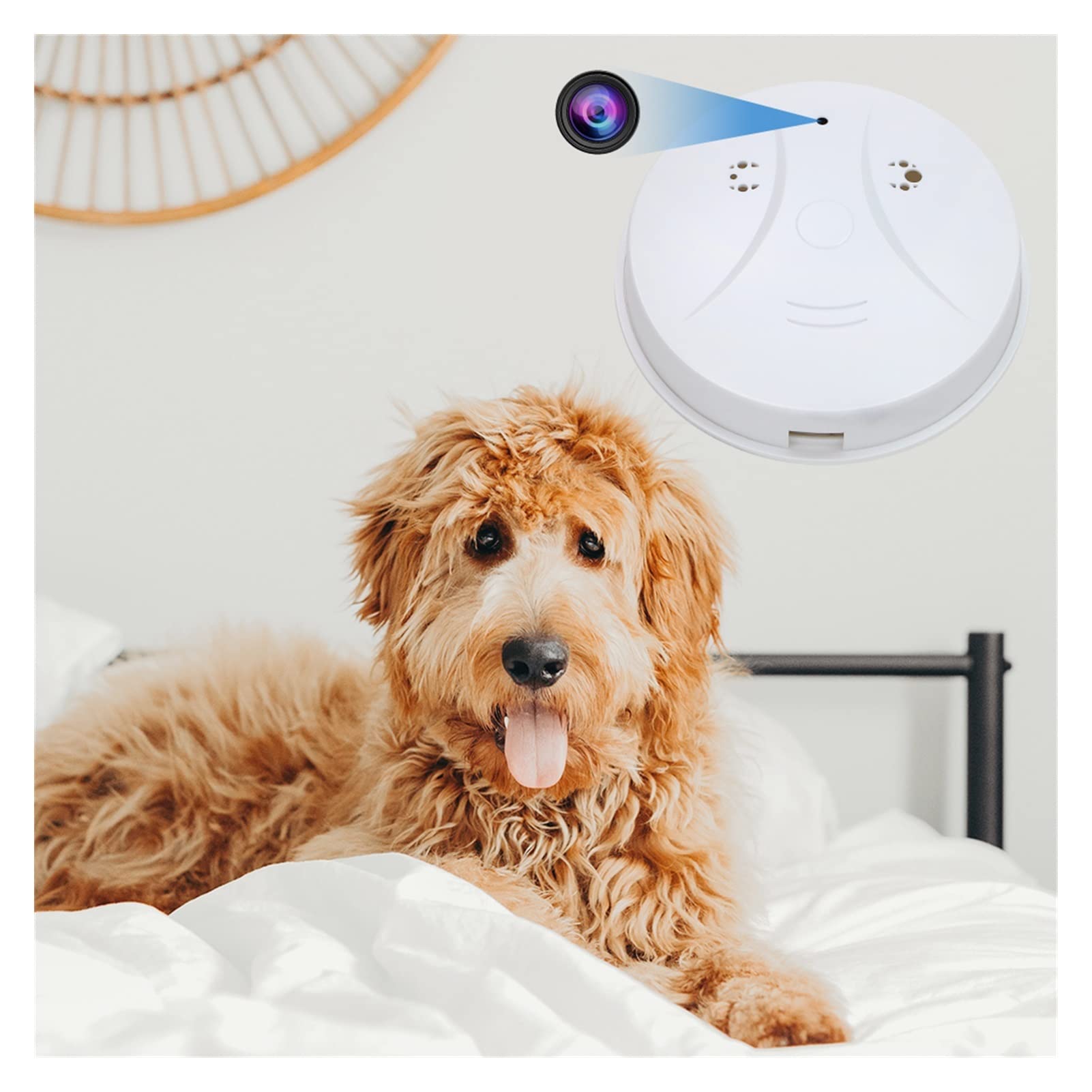 Detector de humo inalámbrico con alarma de humo 108 0p HD Detector de humo de cámara Wifi Mini With Video Security Night Vision Detection Nanny Cam for la oficina en casa ( Color : Camera 8G Card )