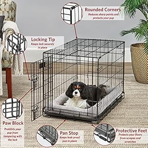 Medium Dog Crate | Midwest Life Stages 30 Double Door Folding Metal Dog Breed Crate | Divider Panel Floor Protecting Feet Dog Pan | 306l X 193w X 214h Inches Cucciolini Doodles Medium dog crate | midwest life stages 30 double door folding metal dog breed crate | divider panel floor protecting feet dog pan | 30 6l x 19 3w x 21 4h inches cucciolini doodles