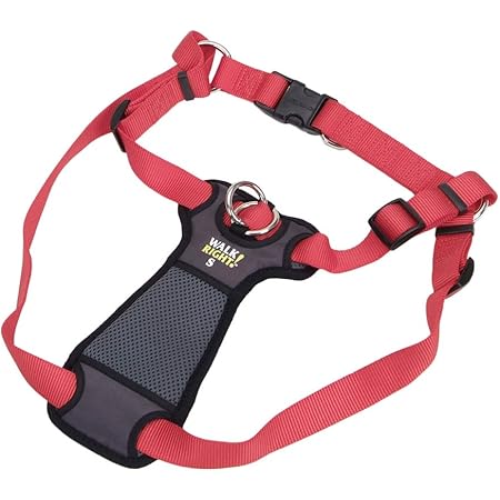 Coastal walk right harness Outlet