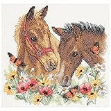 Dimensions 'Horse Friends' Stamped Cross Stitch Kit, 12'' W x 11'' H