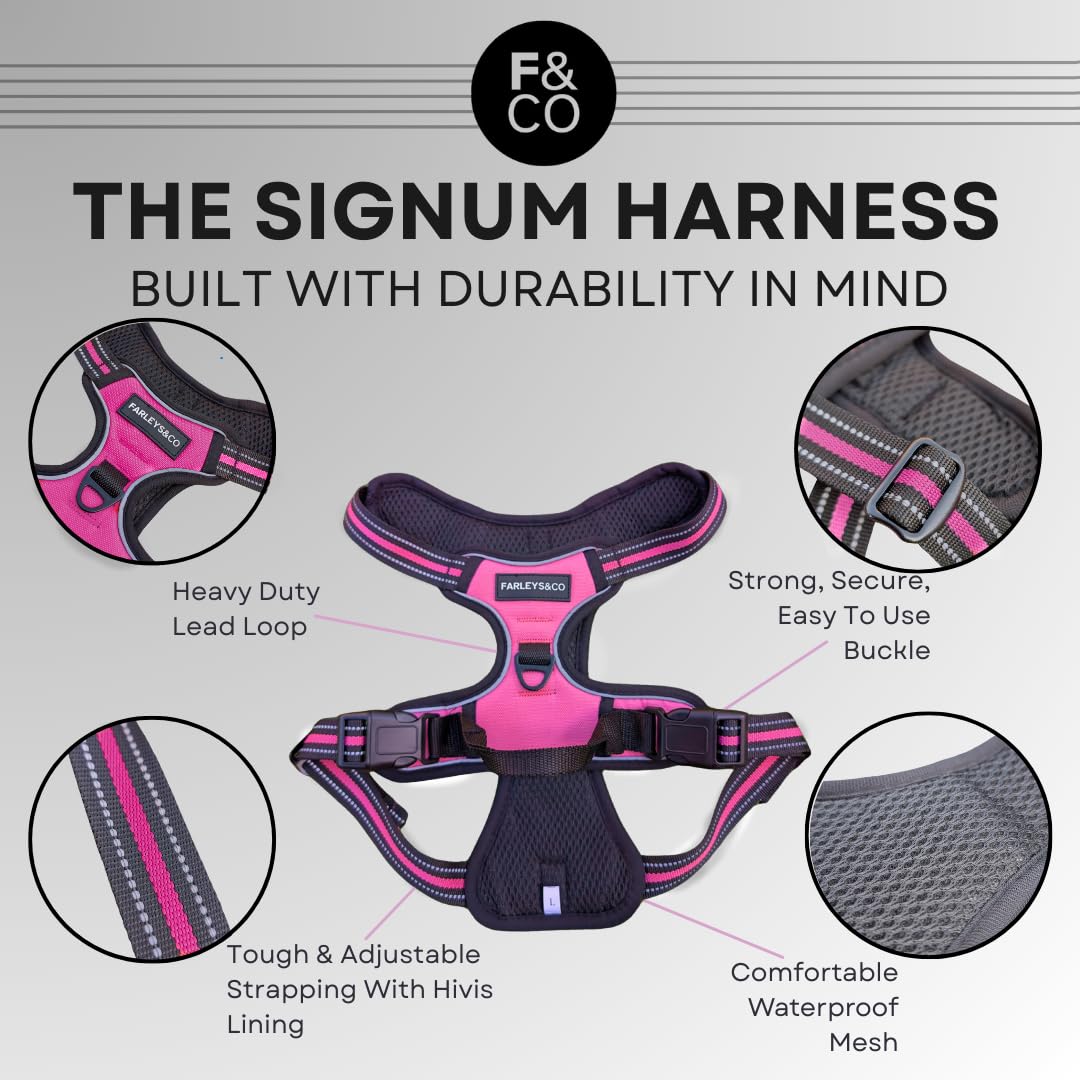 Farleys&Co Signum Dog Harness, Weather-Resistant, Anti-Pull System - Image 2