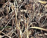 Realtree Max-7 | Canvas Tough Duck 600D Fabric | Hunting Camo Water-Resistant Outdoor Fabric | 58' Wide | 5 yd