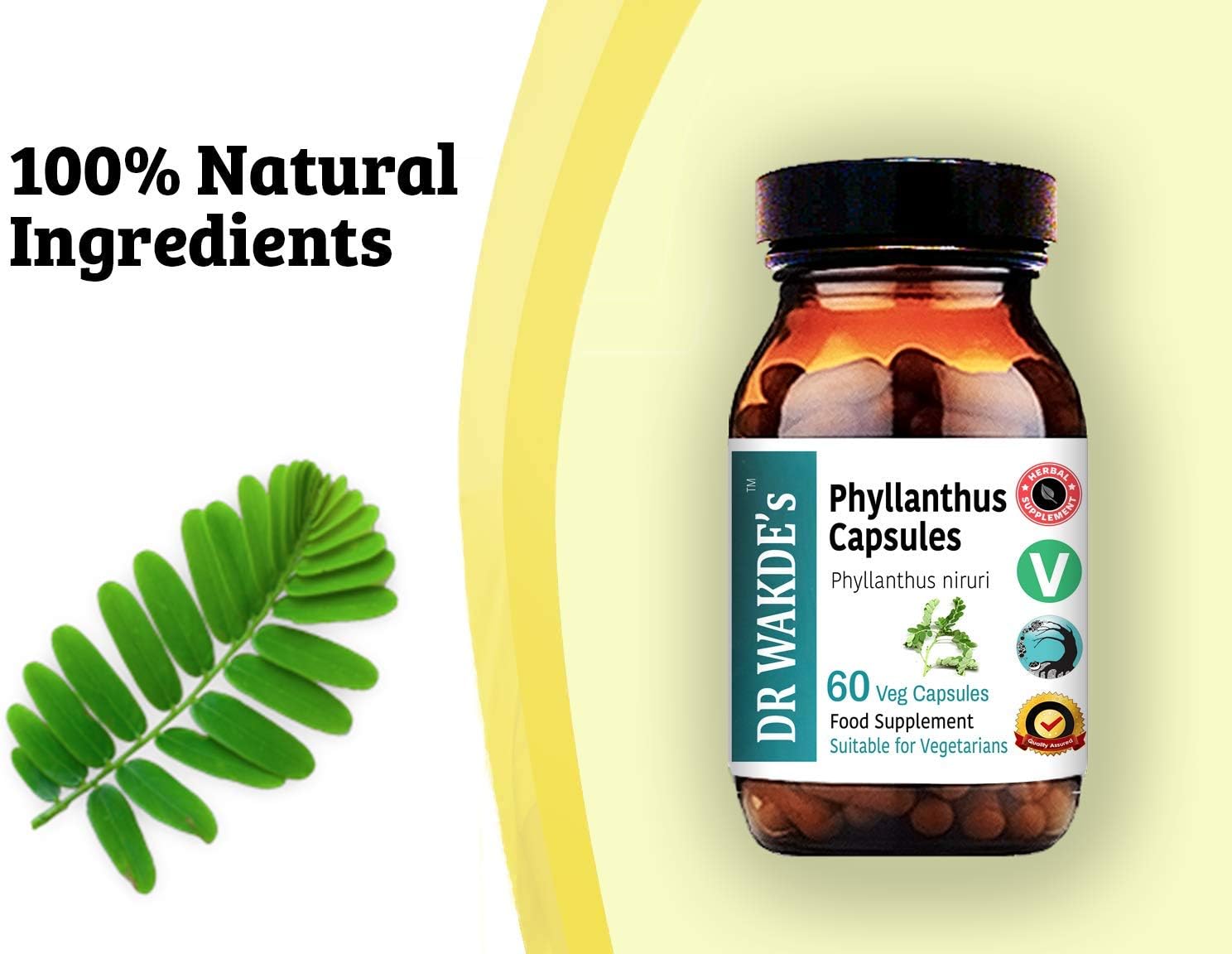DR WAKDE's® Phyllanthus Capsules (Bhumi-amla/Bhumyamalaki) I 100% Herbal I 60 Veggie Capsules I Ayurvedic Supplement - Image 8
