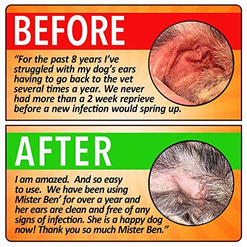 MISTER BEN'S Original Dog Ear Cleaner Kit Natural, Effective Dog Ear