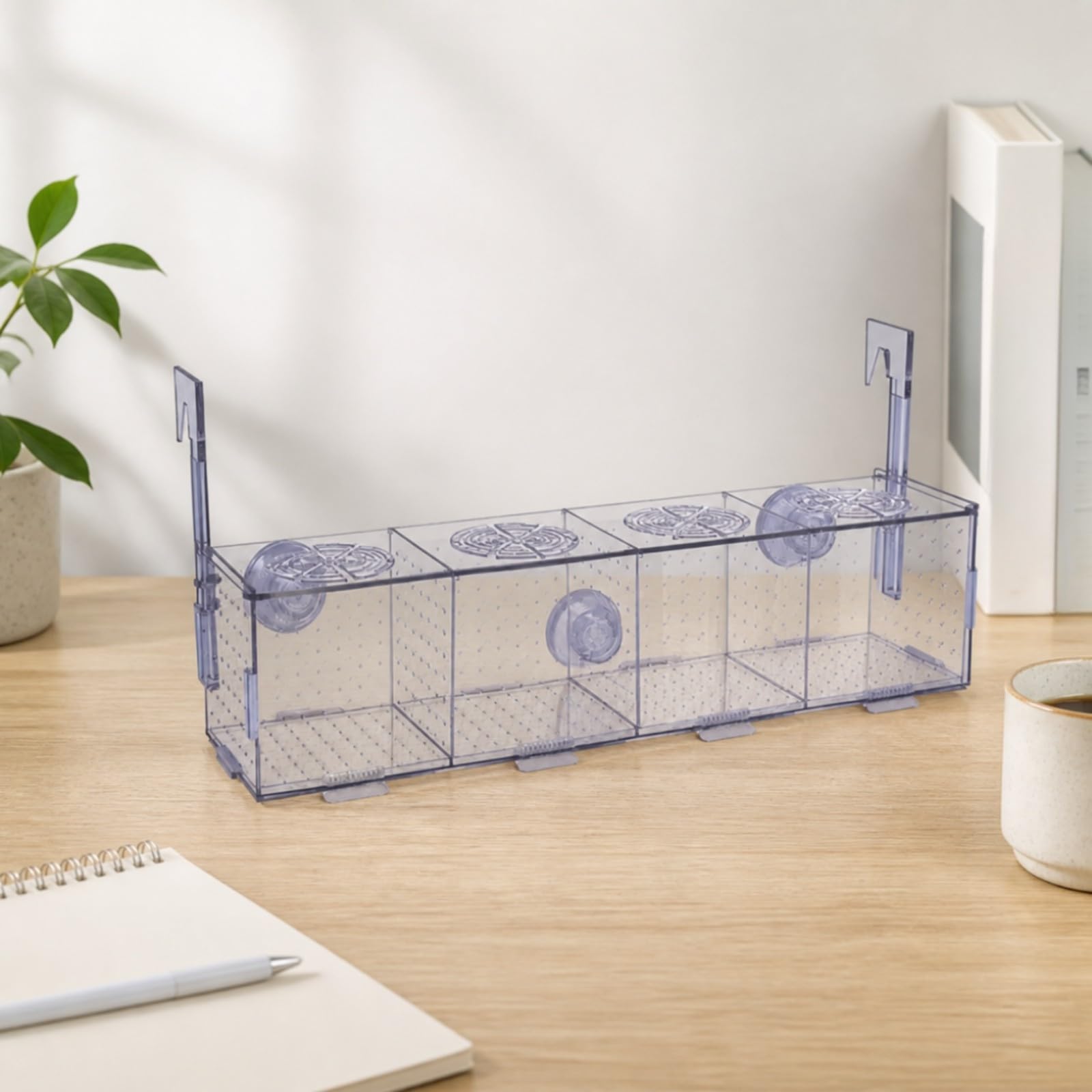 Caja Cría con Ventosas Transparente Gran Capacidad, Resistente, Caja Cría con Rejilla Aislamiento, Acuaristas