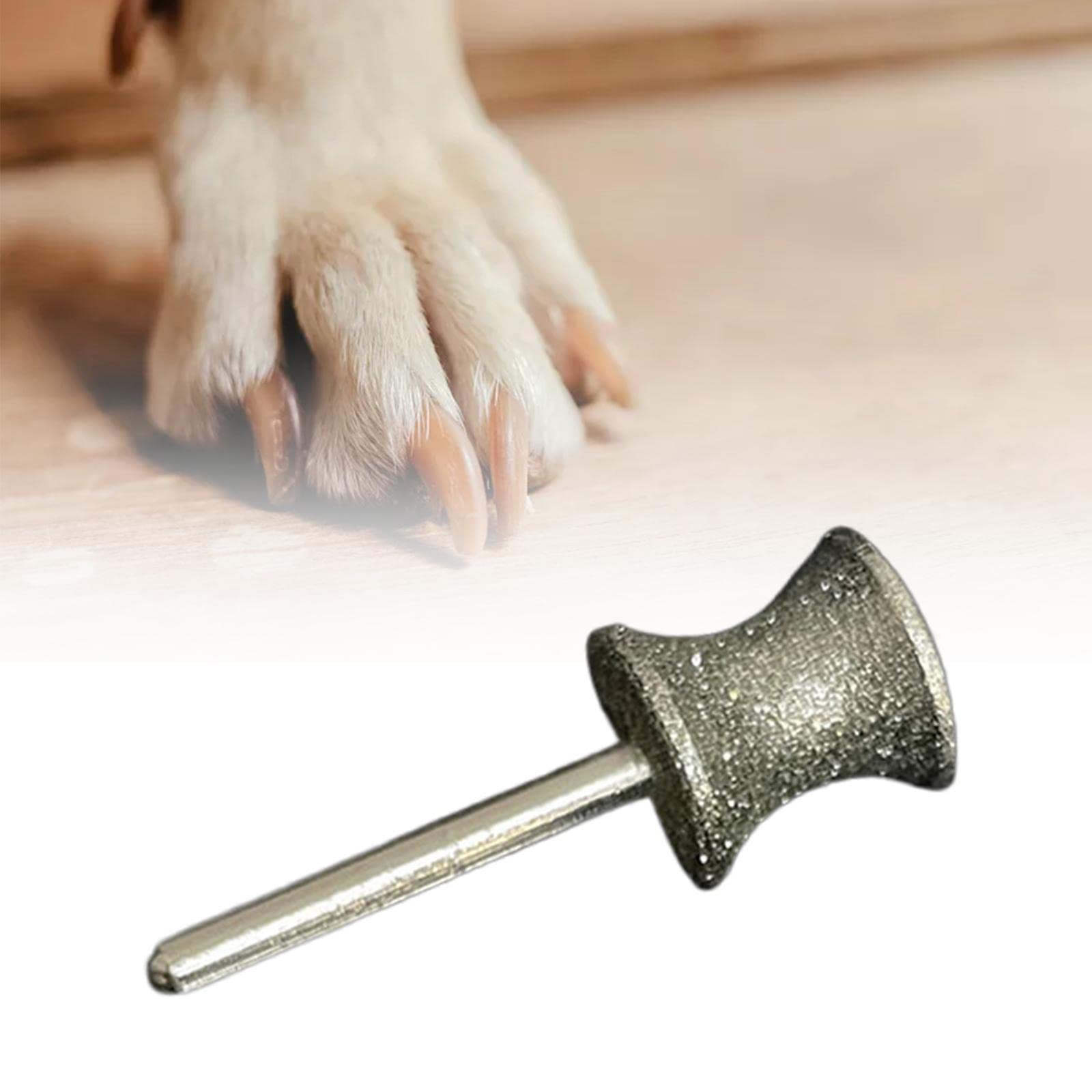 F Fityle Diamond Rotary Bits for Dog Pet Attachment Replacement Grinder Wheel for Medium Large Dogs A - Image 4