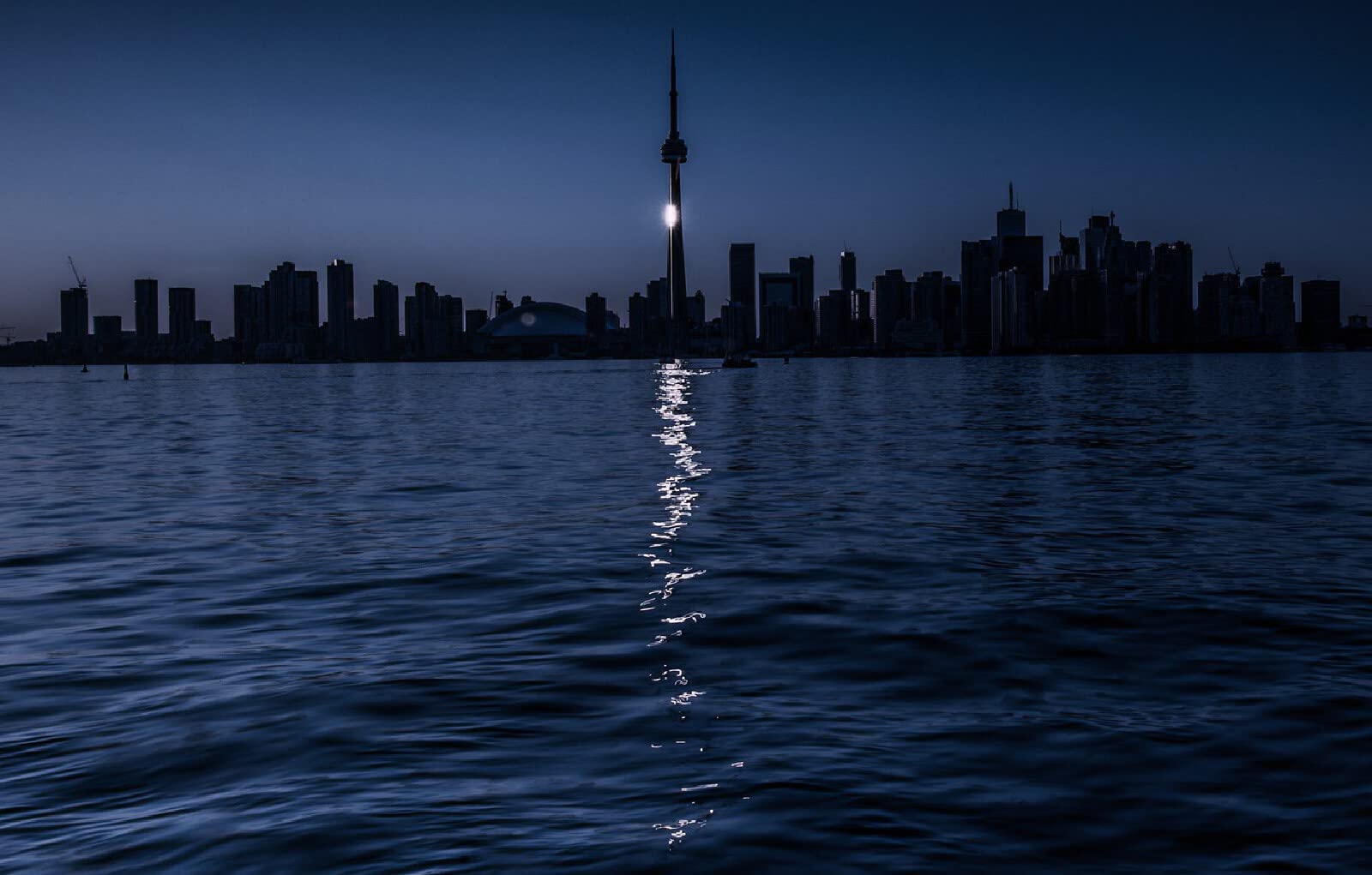 puzzle friends 1000 elementów Toronto City Lake Moon Path 75x50cm
