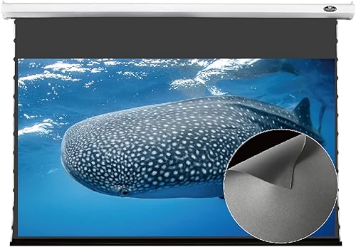 VIVIDSTORM-Pantalla de montaje en techo, carcasa blanca de obsidiana de enfoque largo ALR PRO Deluxe Motorizada, compatible con proyectores de