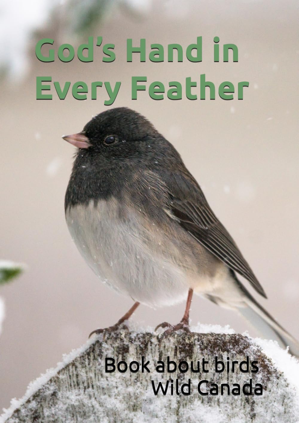 God's hand in every feather: Book about birds Wild Canada