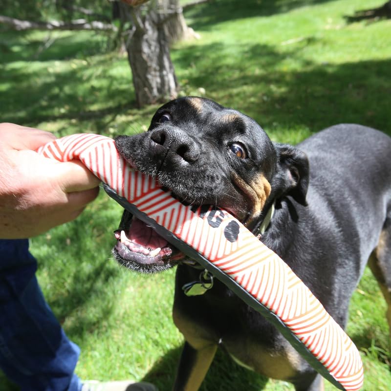 KONG - Maxx Stick Squeak Toy S/M (634.7358)