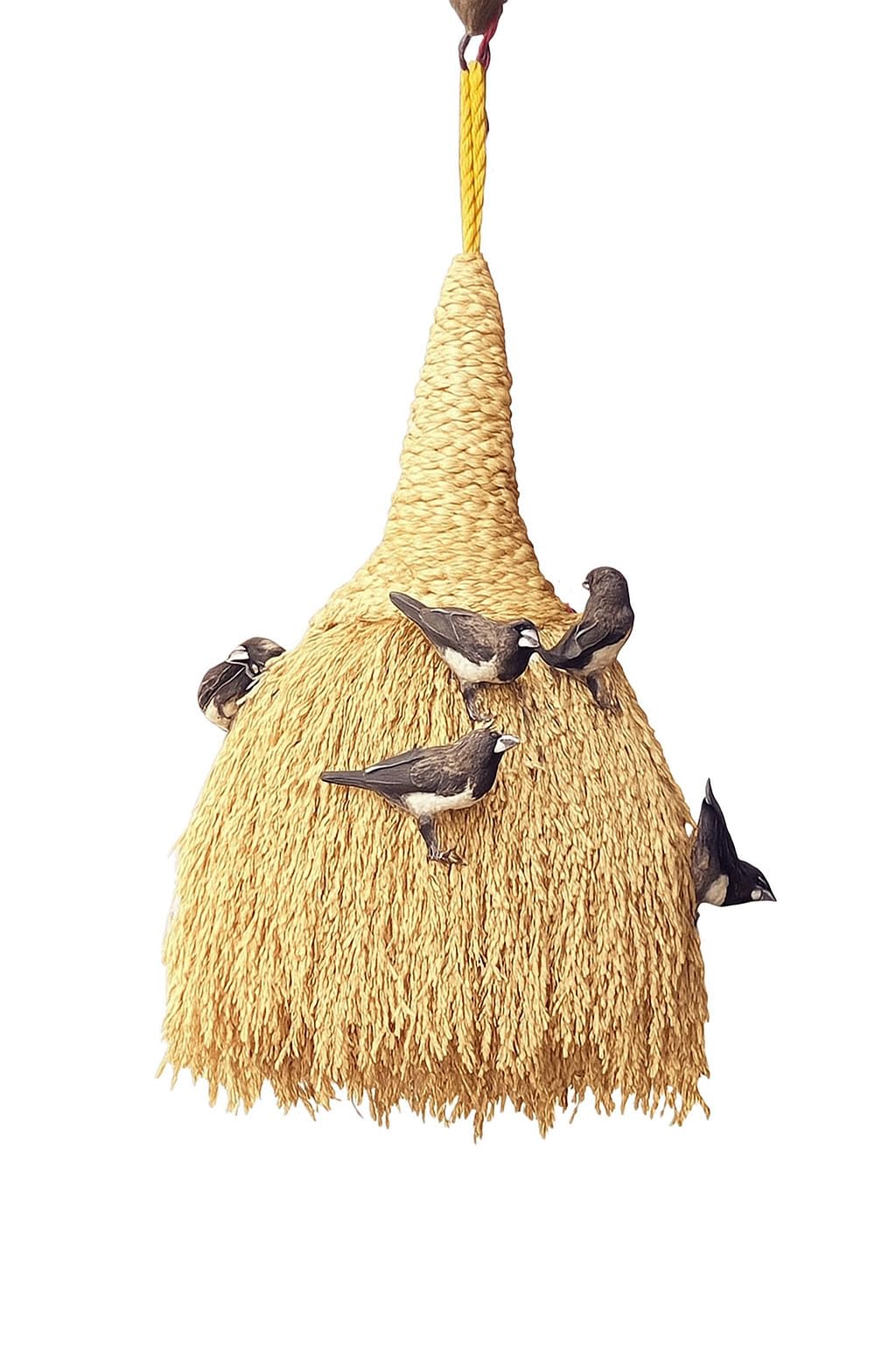 AVIANS Handcrafted Natural Paddy Spike Bird Toy & Foraging Medium for Caged & Wild Birds Unique Hanging Enrichment for Finches, Sparrows & Small Birds 250 Grams Golden Color-image-39