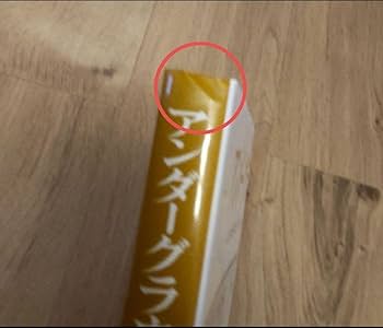 Amazon.co.jp: マコーレイの本 5冊セット イラスト デザイン