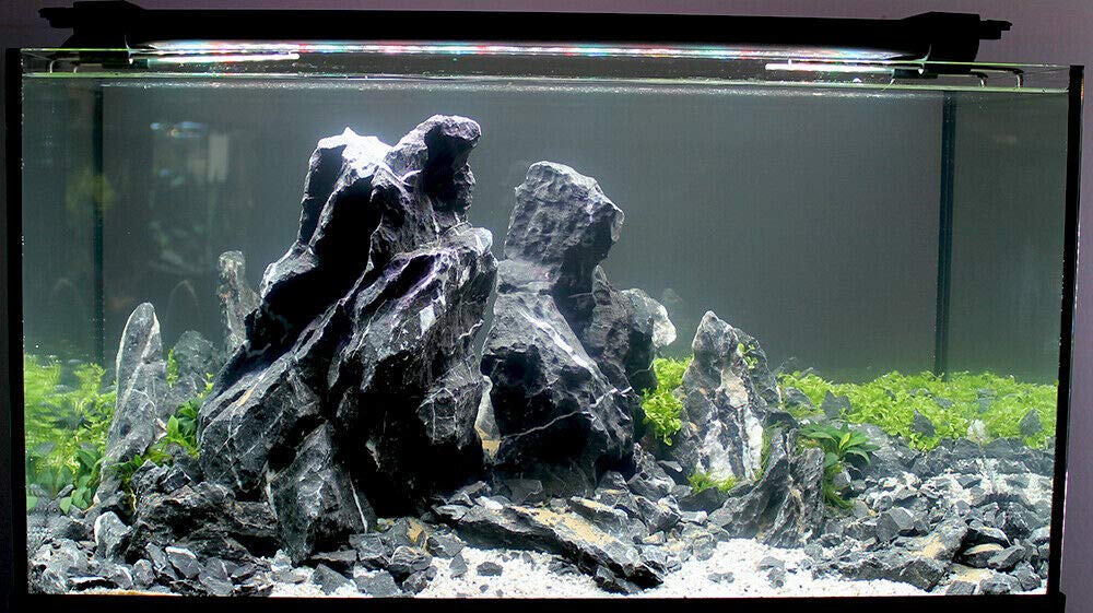 View 2
