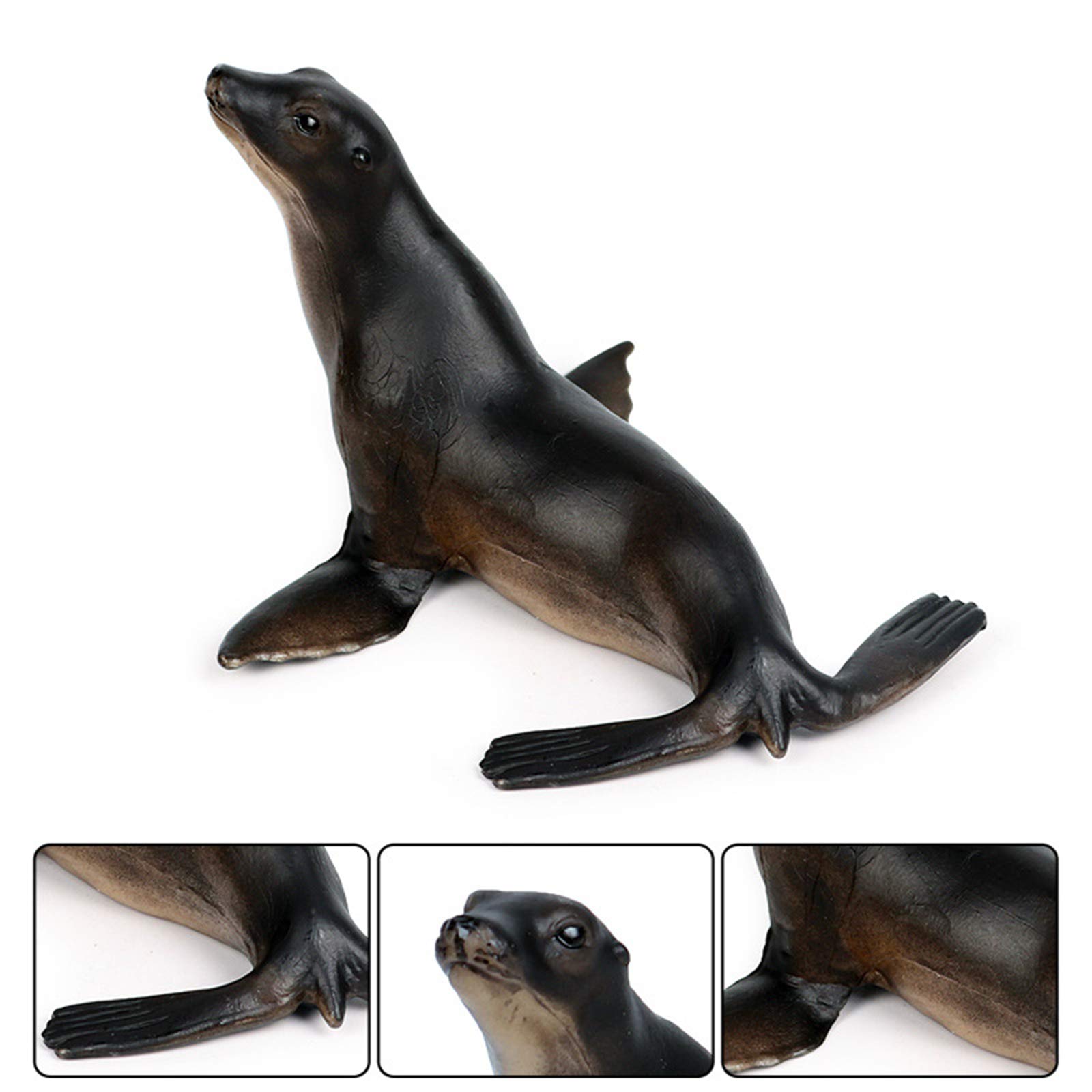 Amazon.co.jp: Eden Toys アザラシ アシカ ジュゴン セイウチ