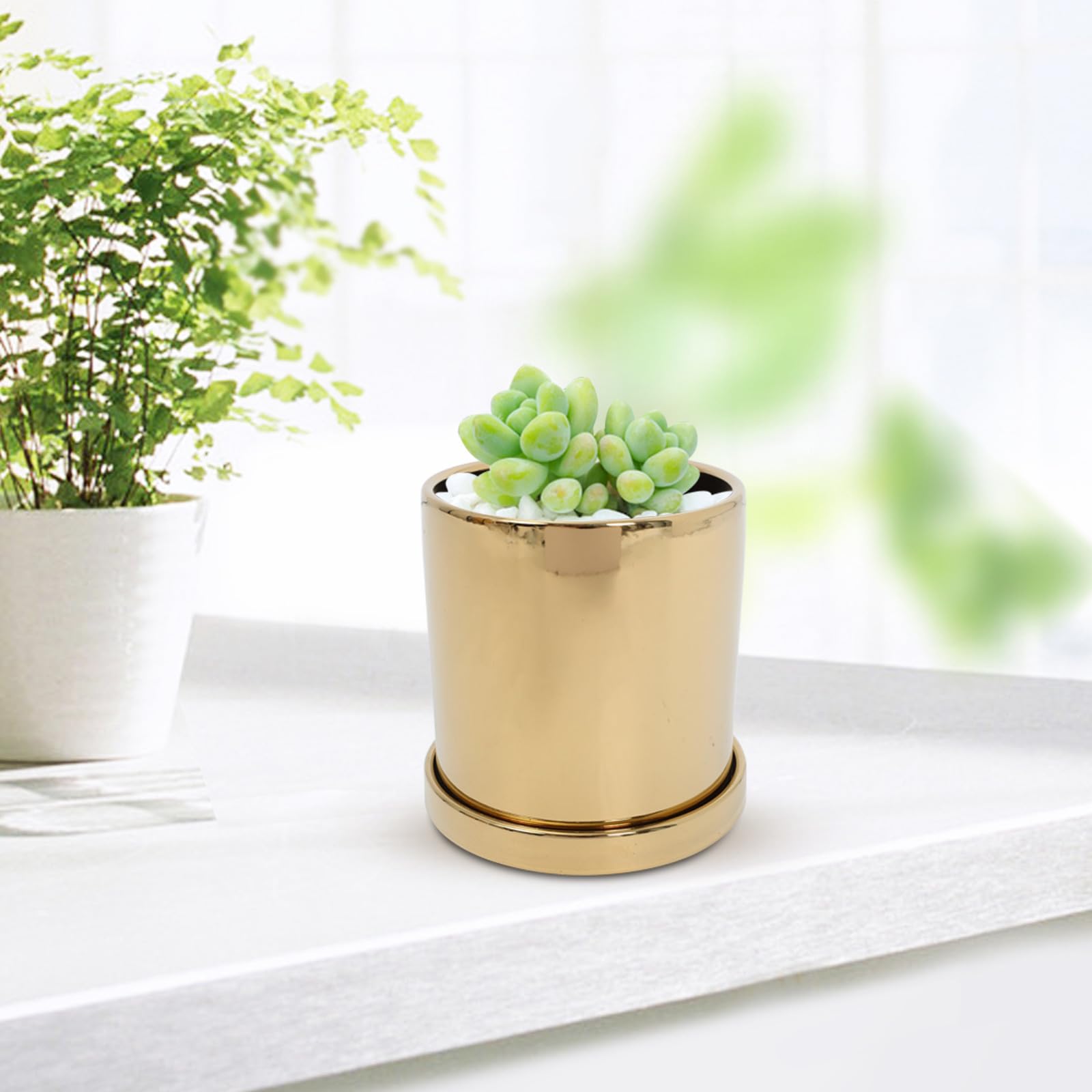 Keramik Sukkulententopf Goldfarben Kleiner Dekorativer Pflanzentopf aus Keramik Vielseitig und Leicht zu Reinigen für Garten und Outdoor Dekor