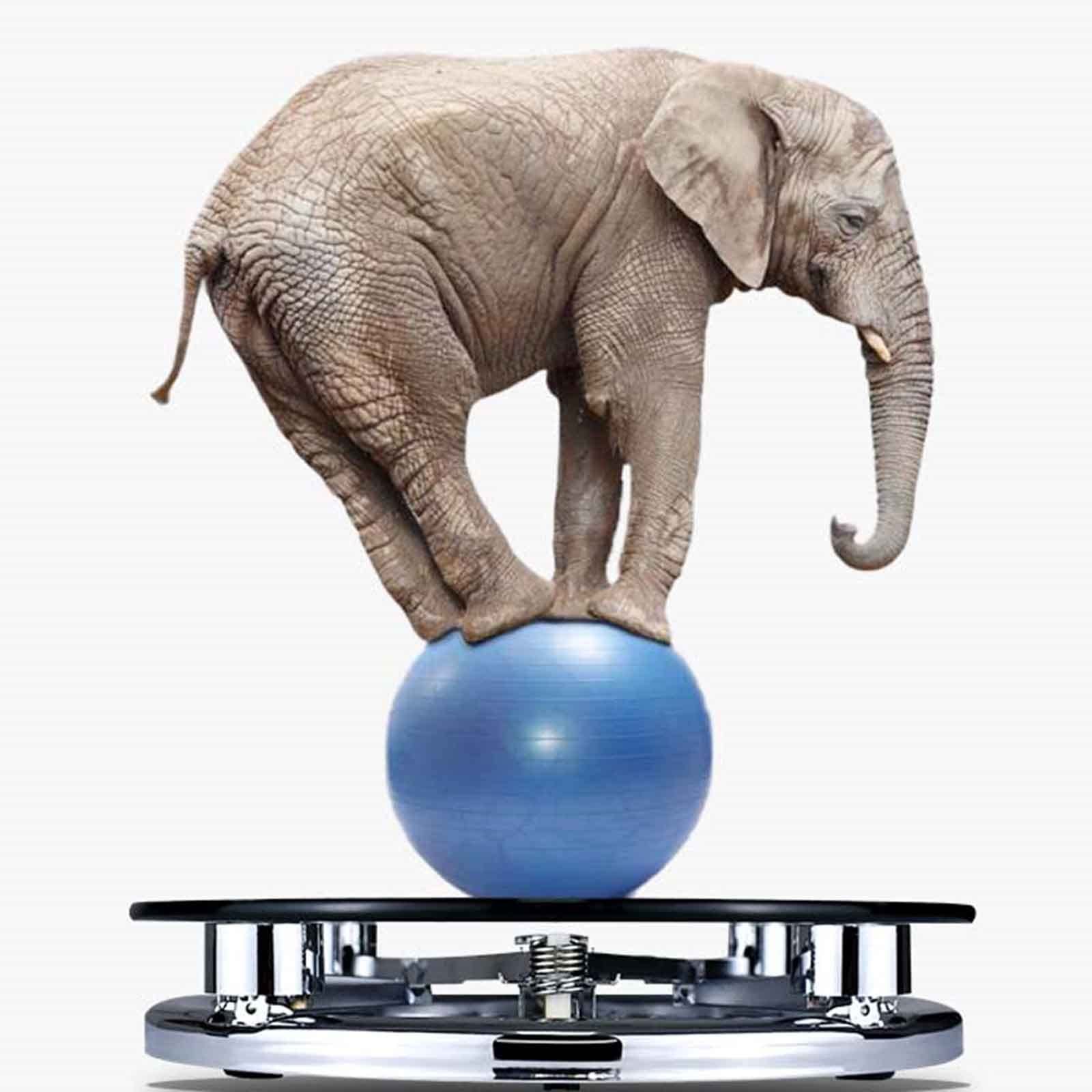 LEKLAI Pèse-Personne mécanique, Balance de Salle de Bain, Balance de santé personnelle mécanique, pesée fiable, Cadran analogique pour Une Lecture Facile, pour la Maison, l'école, l'hôpital, la Salle