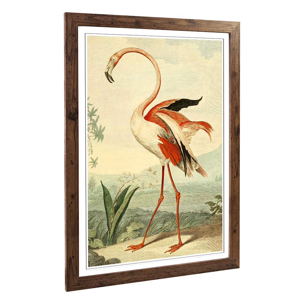 Big Box Art Framed Print of Vintage Charles R Ryley Flamingo Design | Wall Art Picture | Home Decor for Kitchen, Living Room, Bedroom, Hallway, Walnut, A2 / 24.5x18 Inch / 62x45cm