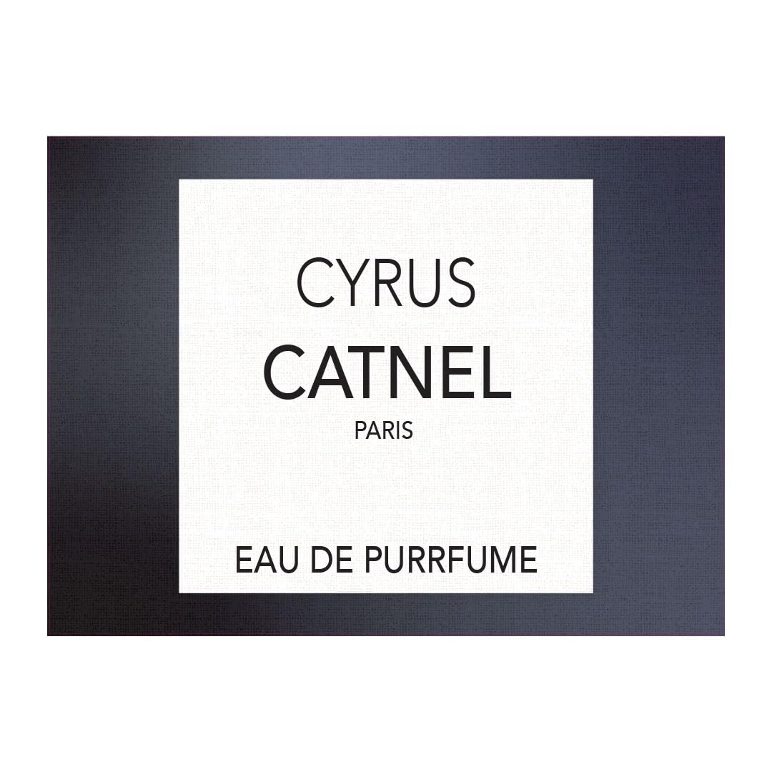 Personalized Pet Food Vinyl Rug with Name, Catnel 076935YECU, Custom Cat Feeding Vinyl Floor Mat, Decorative Black Floor Covering, Waterproof, Eco-Friendly, Non-Slip