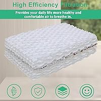 Vista 5 de Filtro humidificador de repuesto para Equate, paquete de 2 (compatible con eqwf813/pcwf813/rwf813)