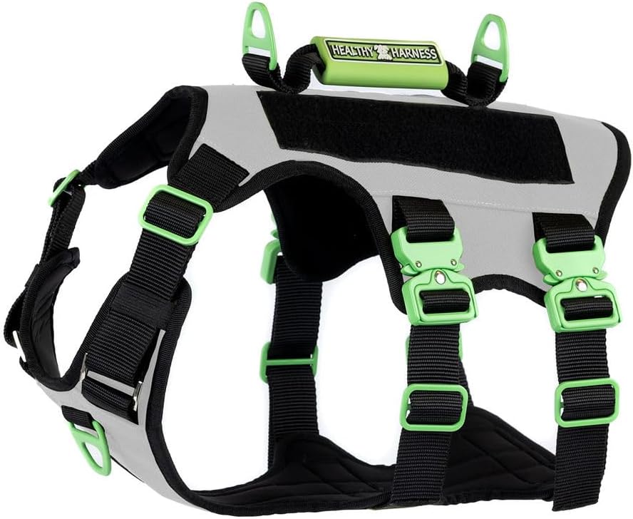 Absolute Adventure Harness - Heavy Duty, No Choke, No Pull, No Escape Dog Harness with Adjustable Padding, Easy On/Off, High Strength Metal Buckles, Emergency Handle and 3 Attachments (Silver, L)