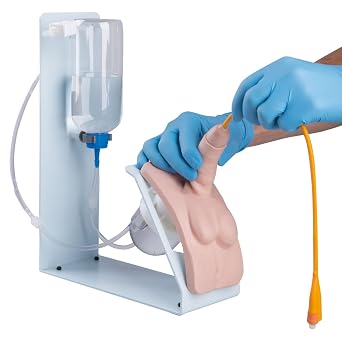 3B Scientific 1020842 Catheterization Simulator Female & Male Set Basic