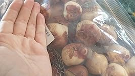 Review Image by Adrya L Webb Adrya L Webb