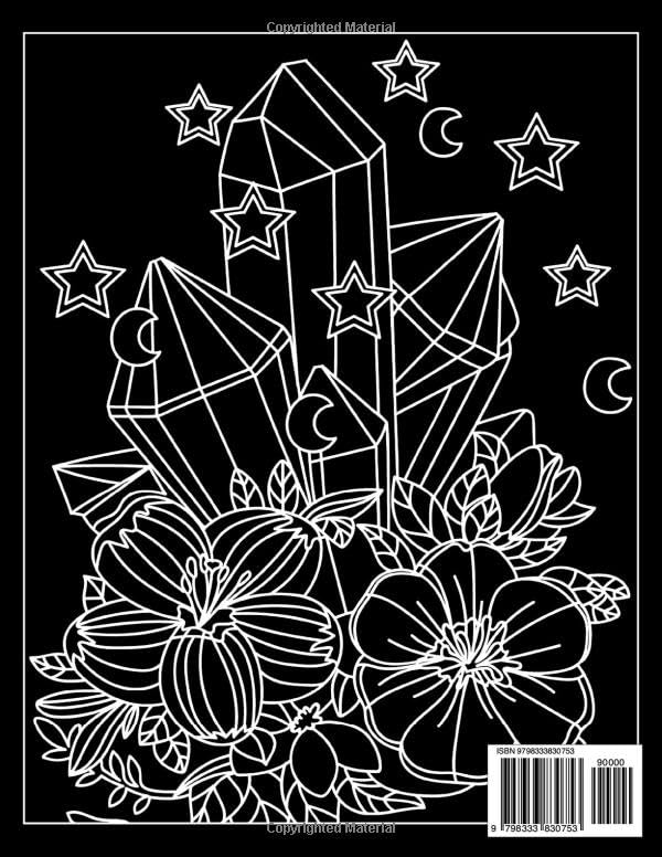 Aesthetic Black Paper Coloring Book Creative Minds Elegant Artistry: 53 Sophisticated Unique Designs Perfect Gifts For All Ages image 3