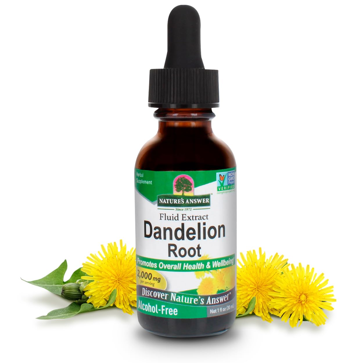 Nature's Answer Dandelion Root 2000mg 1oz Extract | Promotes Overall Well-Being | Alcohol & Gluten Free, Non-GMO, Vegan, No Preservatives or Artificial Flavors | Single Count