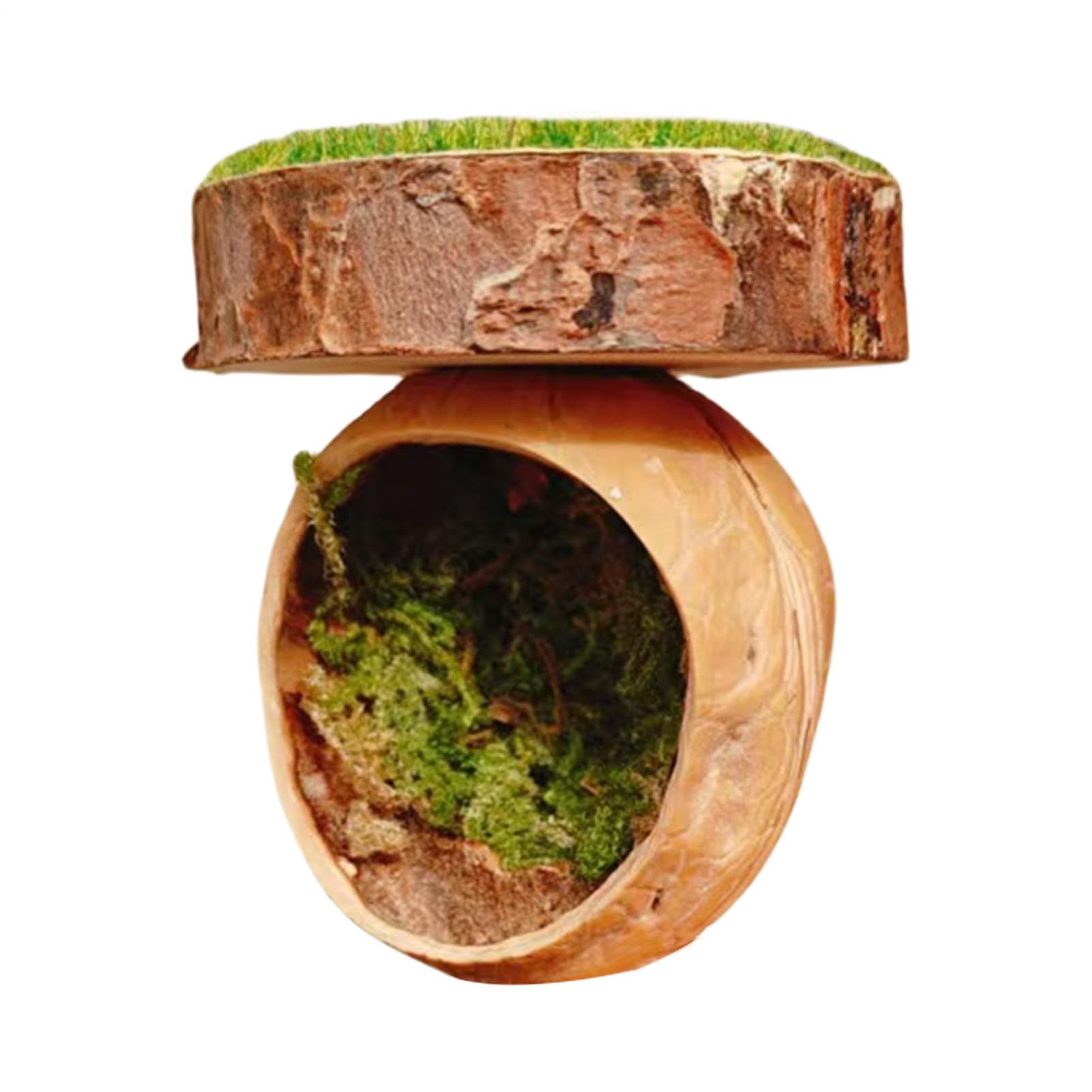 Spider Hide, Magnetic Jumping Spider Hiding Habitat, 1.57x2.36 inches Heavy Duty Handmade Design Reptile Amphibian Accessory for Tarantulas, Small Pets, and Cage Use