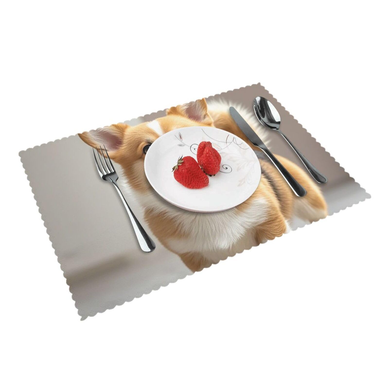 Placemats Set of 4 Heat Resistant Woven Place Mats for Dining Table Cute corgi dog Placemats Washable Wipeable PVC Table Mats Indoor/Outdoor Place Mats for Party Kitchen Decor 30x45 cm