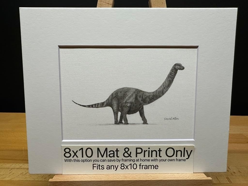 Hand Drawn Brontosaurus Dinosaur Graphite Pencil Art Sketch Drawing Print Picture Limited Edition ~ Titled 'The Gentle Giant' by David Allen (8x10 Mat & Print Only)