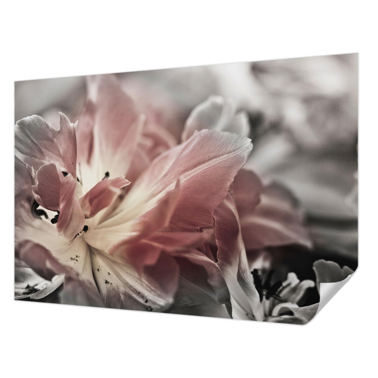 Décor mural adhésif résistant aux taches Tulup 152x104 cm lavable fleur pastel