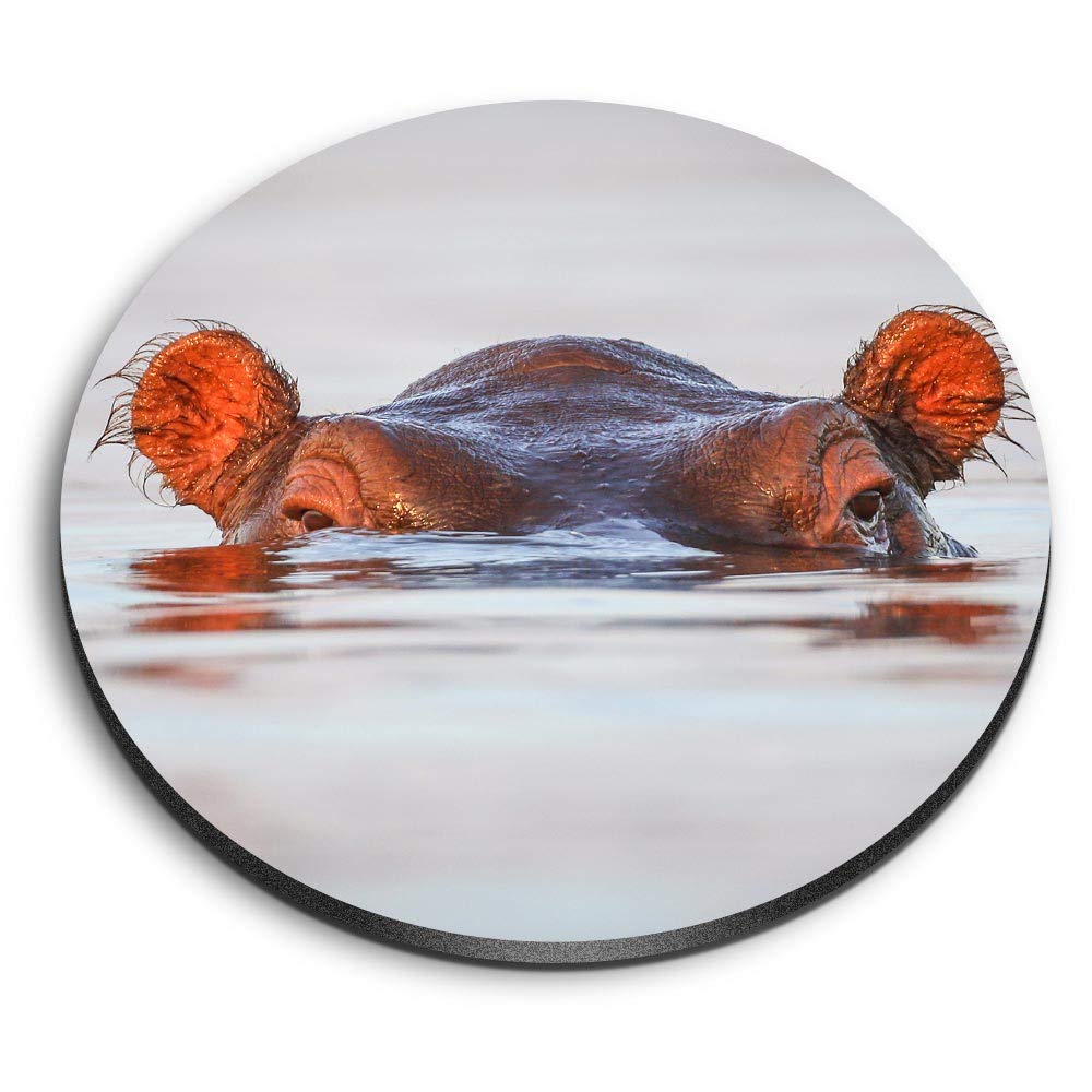 Destination Vinyl Ltd Multicolor 1 X Round Mdf Magnet - Hippopotamus Hippo 15643