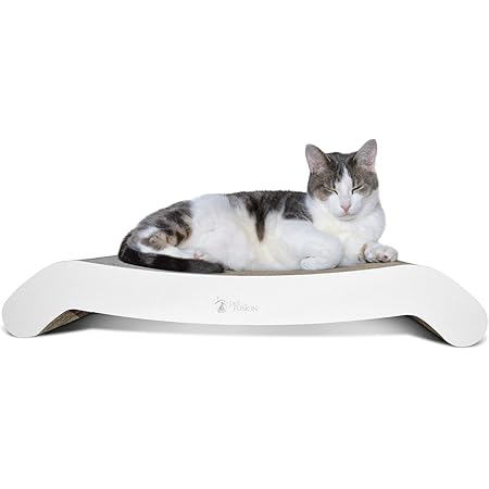 petfusion scratcher