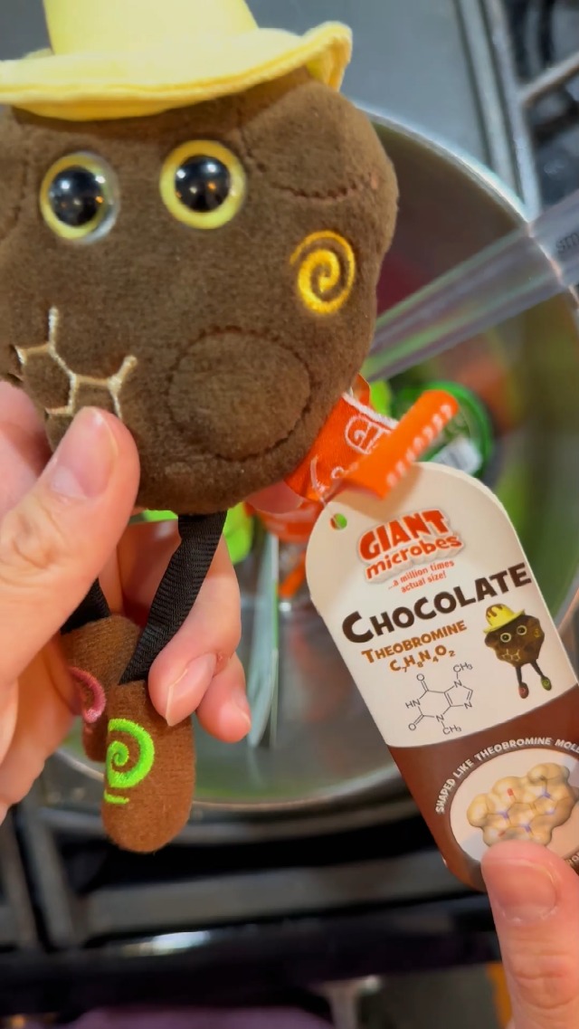 Amazon.com: GIANTmicrobes Chocolate Plush – Learn About Science