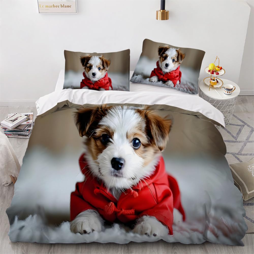 Parure de lit 200x200 fermeture éclair pour changer de couette facilement