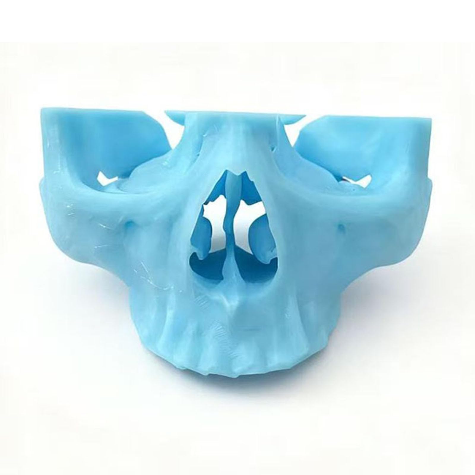Modello di Pratica per Impianti Dentali Modello di Pratica di Perforazione dello Zigomo e del Pterigoide per Studenti e Professionisti,Blu,12cm