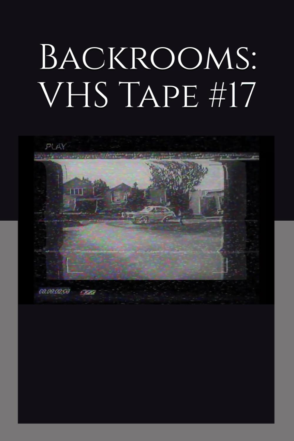 Backrooms: VHS Tape #17 (Backrooms & Beyond: Liminal Horror Series)