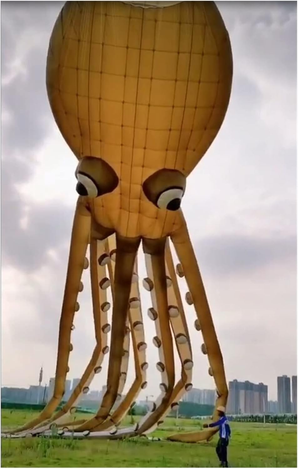 Kites Octopus Kites Giant Kites, Windsock Squid Soft Kite