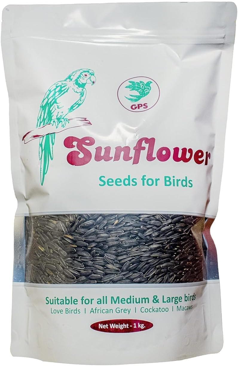 G P S™ - Black Sunflower Seeds Bird Food for Lovebirds, Sun Conures, Cockatiels, African Grey Parrots, Green Cheek Conure, Macaws, Cockatoo (Sunflower Seeds - 950Grams)