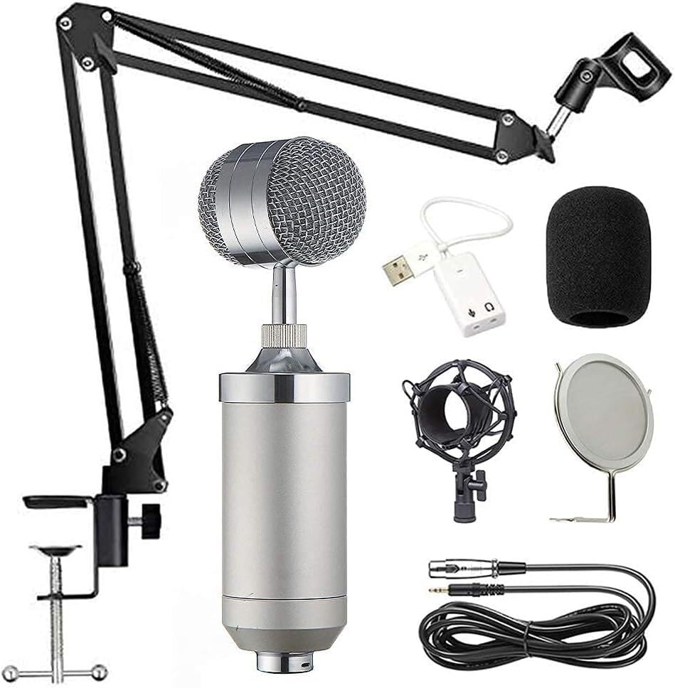 Kit de microphone à condensateur ELzEy pour enregistrement et studio