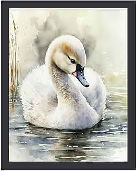 61jVwgi9bML._AC_UF350,