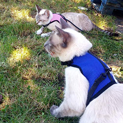 Image of Pettom Rabbits Harness with Elastic Leash for Small Animal Adjustable Soft Harness and Lead Set for Bunny Cat Little Pet Walking (S(Chest:10. 8-12. 9 In), Blue)