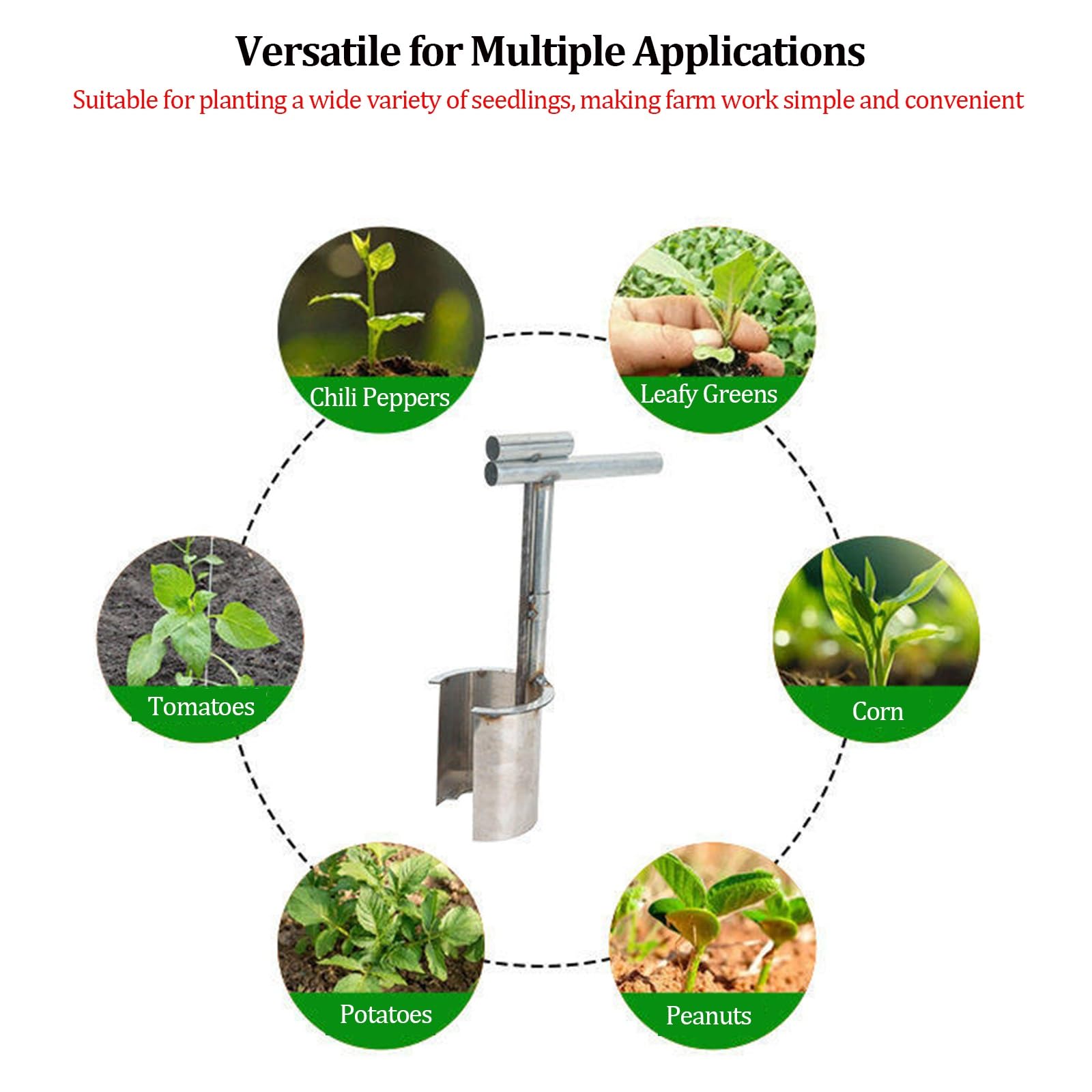 Piantabulbi con impugnatura ergonomica, strumento di trapianto per alberi da frutto in acciaio inossidabile, trapiantatore per piantine, strumento per il trapianto di semi e bulbi
