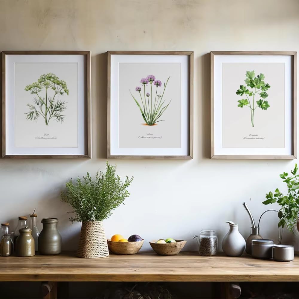 LTjiajuypd Quadri decorativi botanici con erbe aromatiche per cucina rustica, decorazioni verdi, stampe da giardino, poster in stile fattoria (50x75 cm - 3 pezzi)