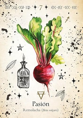 Oráculo de la Bruja Verde: Libro y 44 Cartas de Tarot